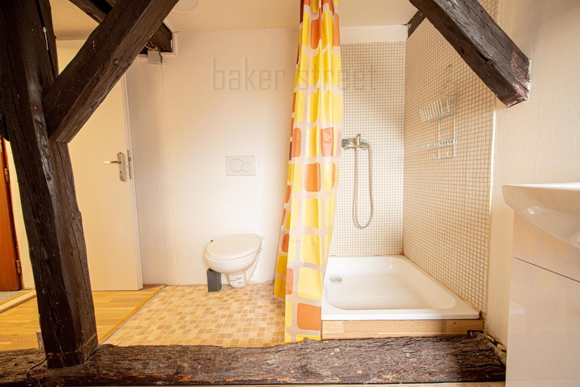 Apartment Attic 3 Bedrooms With 2 Bathrooms Prague